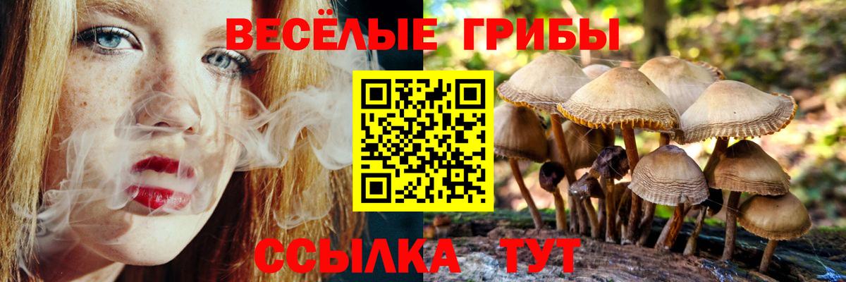 Будённовск  Псилоцибиновые грибы мухоморы  Вход с VPN 