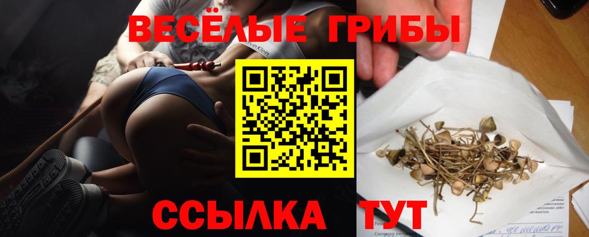 Галлюциногенные грибы Psilocybine cubensis Будённовск